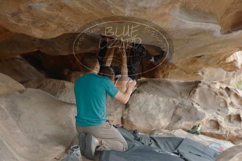 Bouldering in Hueco Tanks on 04/13/2019 with Blue Lizard Climbing and Yoga
Filename: SRM_20190413_1310290.jpg
Aperture: f/4.0
Shutter Speed: 1/250
Body: Canon EOS-1D Mark II
Lens: Canon EF 50mm f/1.8 II