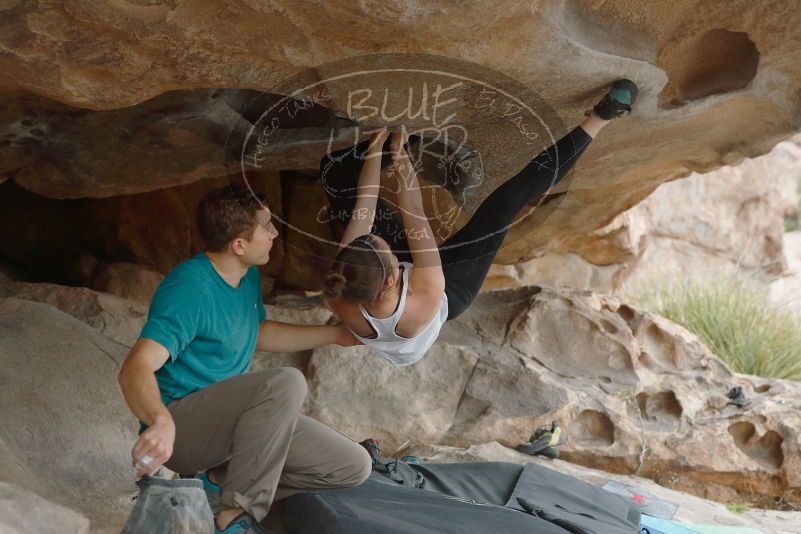 Bouldering in Hueco Tanks on 04/13/2019 with Blue Lizard Climbing and Yoga
Filename: SRM_20190413_1310540.jpg
Aperture: f/4.0
Shutter Speed: 1/320
Body: Canon EOS-1D Mark II
Lens: Canon EF 50mm f/1.8 II